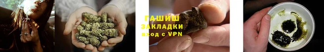 крисы Белокуриха