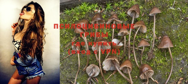 прущая мука Белоозёрский