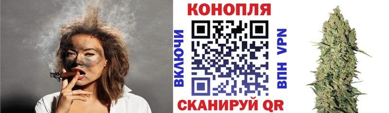 где найти Медвежьегорск Марихуана ГИДРОПОН